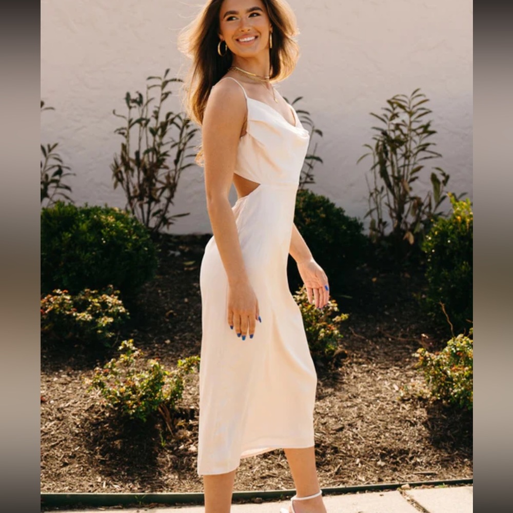 Kittenish fruit printed maxi dress